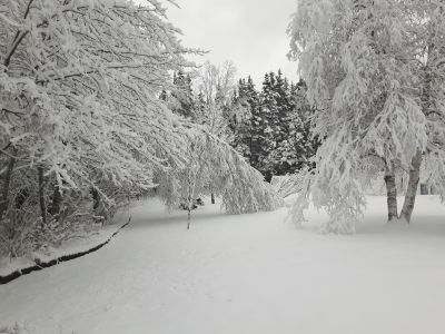 A Snow Day in the Country by Esther O'Neil